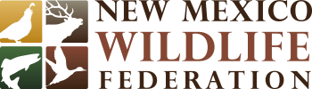new mexico